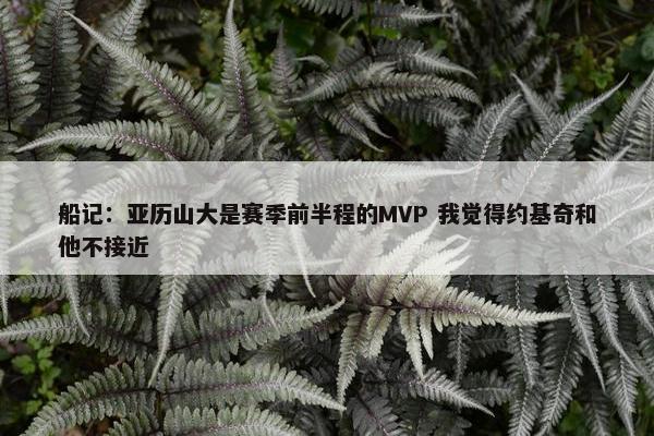 船记：亚历山大是赛季前半程的MVP 我觉得约基奇和他不接近