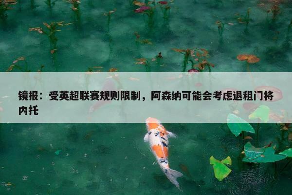 镜报：受英超联赛规则限制，阿森纳可能会考虑退租门将内托