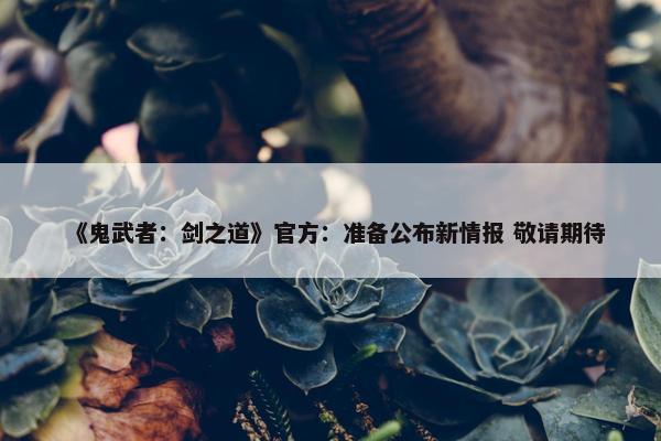 《鬼武者：剑之道》官方：准备公布新情报 敬请期待