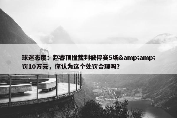 球迷态度：赵睿顶撞裁判被停赛5场&amp;罚10万元，你认为这个处罚合理吗？