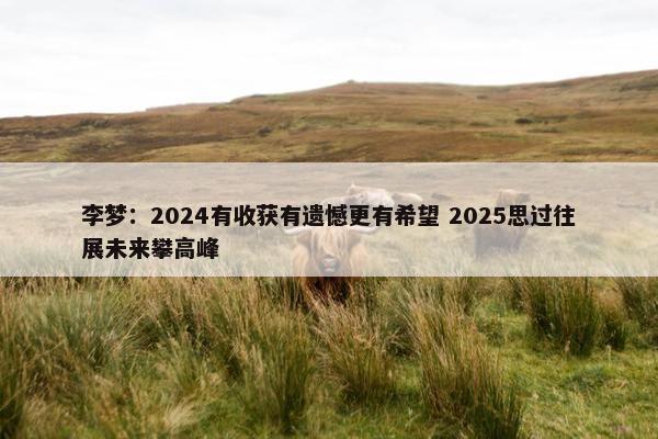 李梦：2024有收获有遗憾更有希望 2025思过往展未来攀高峰