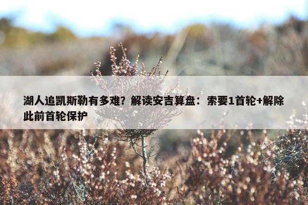 湖人追凯斯勒有多难？解读安吉算盘：索要1首轮+解除此前首轮保护