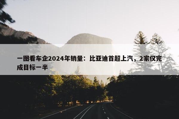 一图看车企2024年销量：比亚迪首超上汽，2家仅完成目标一半