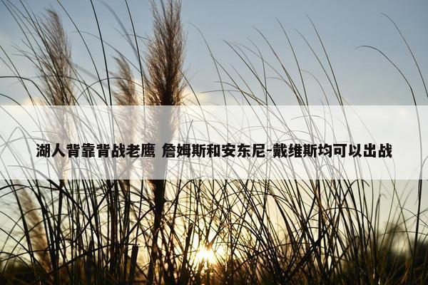 湖人背靠背战老鹰 詹姆斯和安东尼-戴维斯均可以出战