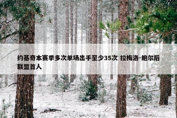 约基奇本赛季多次单场出手至少35次 拉梅洛-鲍尔后联盟首人