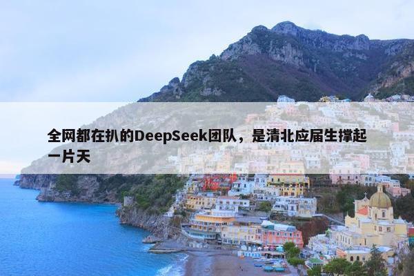 全网都在扒的DeepSeek团队，是清北应届生撑起一片天