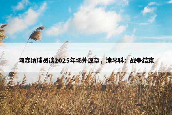 阿森纳球员谈2025年场外愿望，津琴科：战争结束