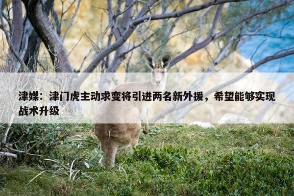 津媒：津门虎主动求变将引进两名新外援，希望能够实现战术升级