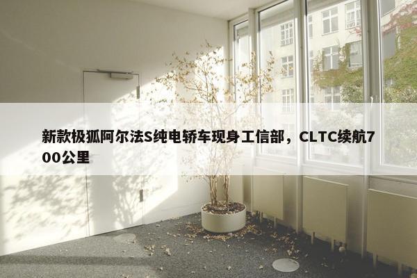 新款极狐阿尔法S纯电轿车现身工信部，CLTC续航700公里