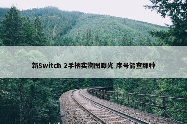 新Switch 2手柄实物图曝光 序号能查那种