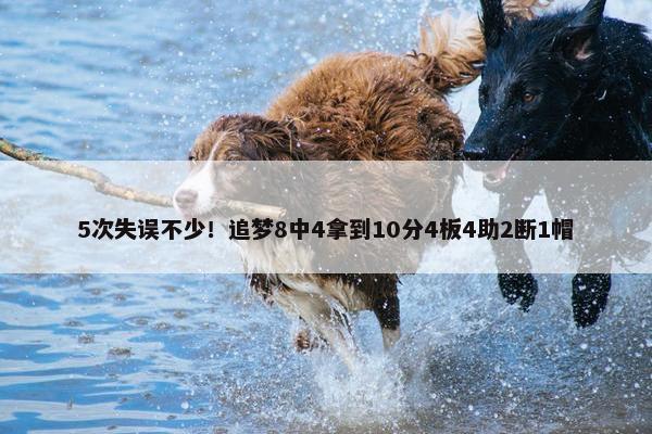 5次失误不少！追梦8中4拿到10分4板4助2断1帽