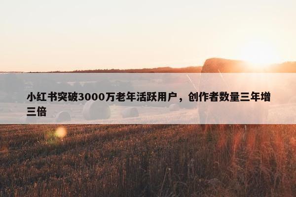 小红书突破3000万老年活跃用户，创作者数量三年增三倍