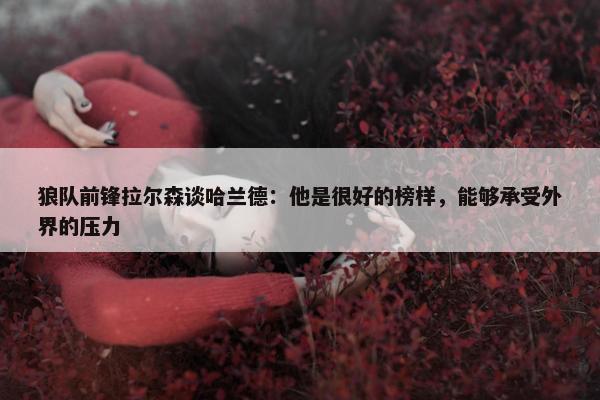 狼队前锋拉尔森谈哈兰德：他是很好的榜样，能够承受外界的压力