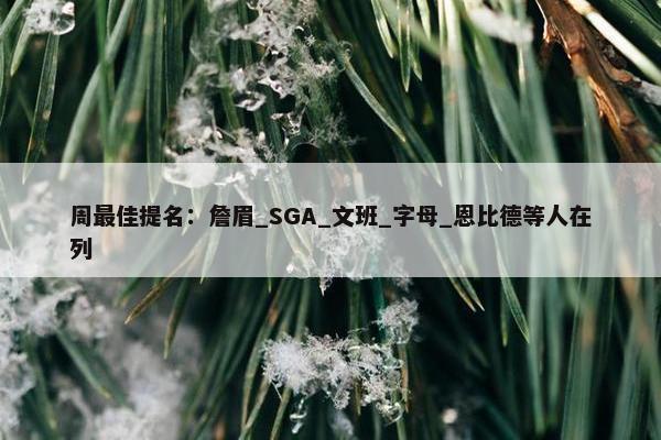 周最佳提名：詹眉_SGA_文班_字母_恩比德等人在列