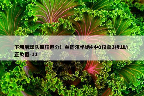 下场后球队疯狂追分！兰德尔半场4中0仅拿3板1助 正负值-11