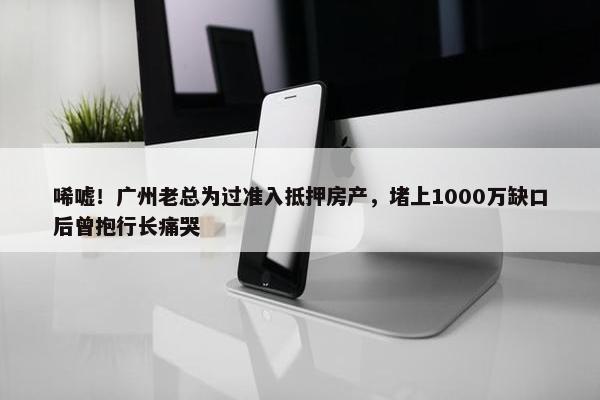 唏嘘！广州老总为过准入抵押房产，堵上1000万缺口后曾抱行长痛哭