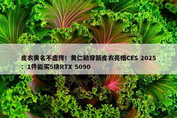 皮衣黄名不虚传！黄仁勋穿新皮衣亮相CES 2025：1件能买5块RTX 5090