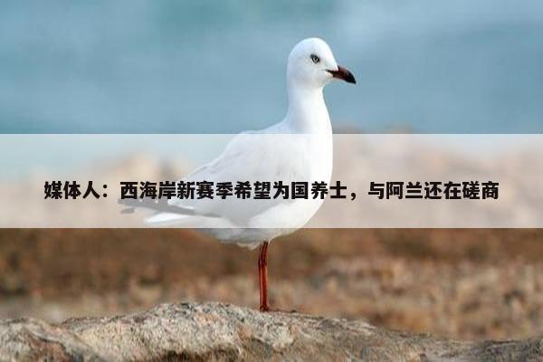 媒体人：西海岸新赛季希望为国养士，与阿兰还在磋商