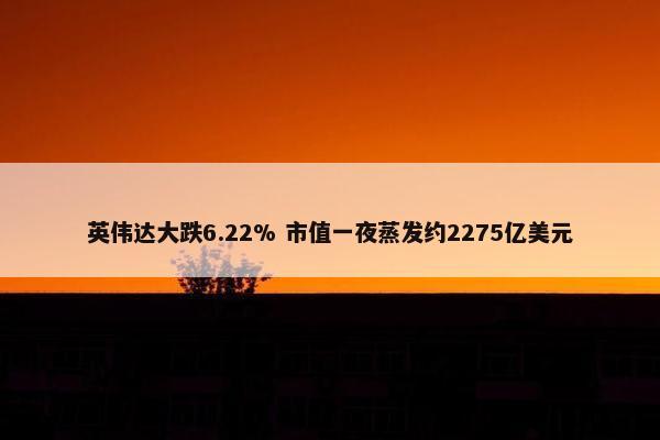 英伟达大跌6.22% 市值一夜蒸发约2275亿美元