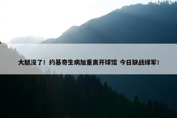 大腿没了！约基奇生病加重离开球馆 今日缺战绿军！