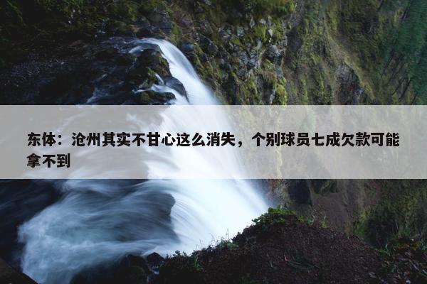 东体：沧州其实不甘心这么消失，个别球员七成欠款可能拿不到