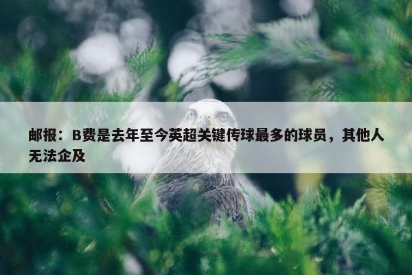 邮报：B费是去年至今英超关键传球最多的球员，其他人无法企及