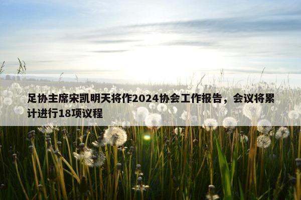 足协主席宋凯明天将作2024协会工作报告，会议将累计进行18项议程