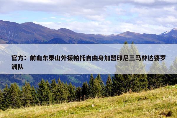 官方：前山东泰山外援帕托自由身加盟印尼三马林达婆罗洲队