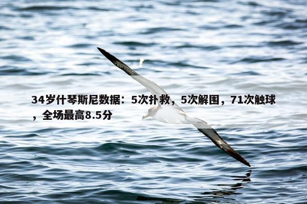 34岁什琴斯尼数据：5次扑救，5次解围，71次触球，全场最高8.5分