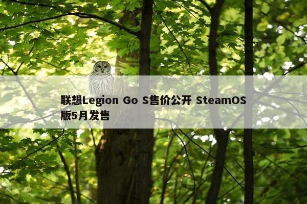 联想Legion Go S售价公开 SteamOS版5月发售