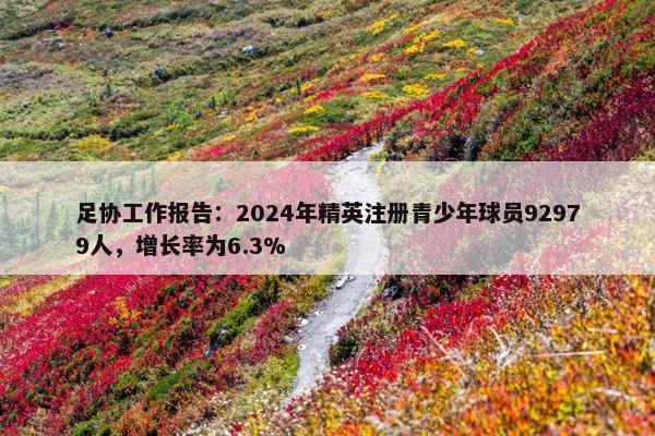 足协工作报告：2024年精英注册青少年球员92979人，增长率为6.3%