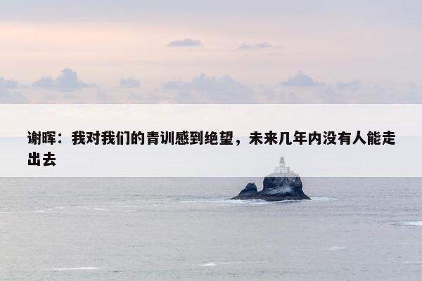 谢晖：我对我们的青训感到绝望，未来几年内没有人能走出去