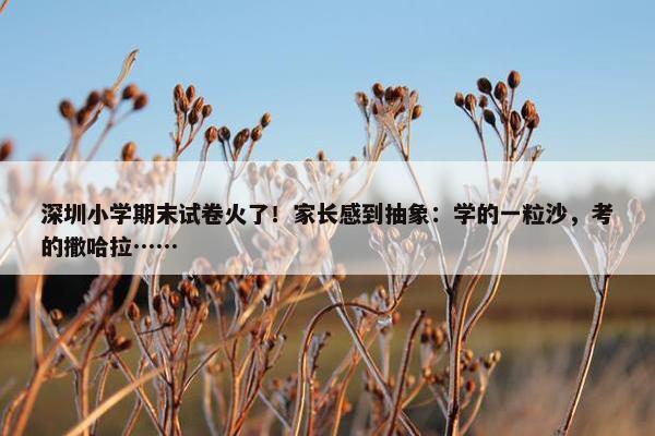 深圳小学期末试卷火了！家长感到抽象：学的一粒沙，考的撒哈拉……