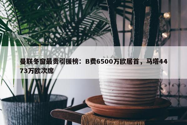 曼联冬窗最贵引援榜：B费6500万欧居首，马塔4473万欧次席