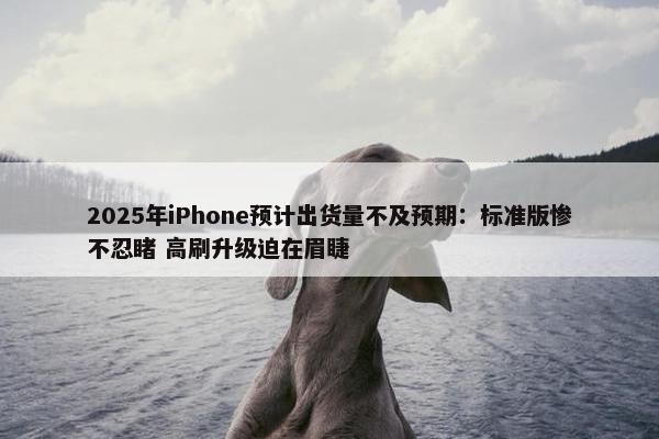 2025年iPhone预计出货量不及预期：标准版惨不忍睹 高刷升级迫在眉睫