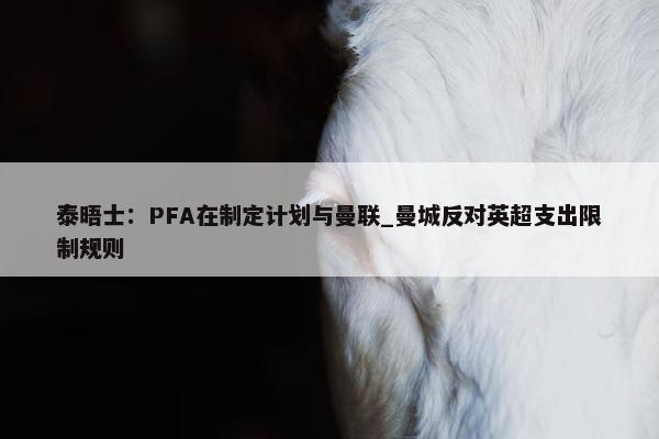 泰晤士：PFA在制定计划与曼联_曼城反对英超支出限制规则