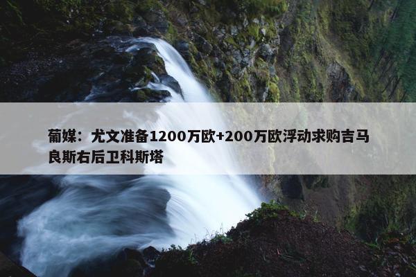 葡媒：尤文准备1200万欧+200万欧浮动求购吉马良斯右后卫科斯塔