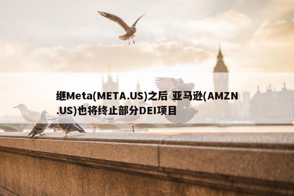 继Meta(META.US)之后 亚马逊(AMZN.US)也将终止部分DEI项目