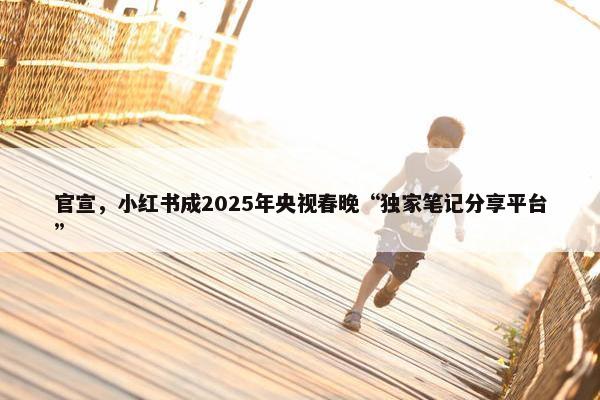 官宣，小红书成2025年央视春晚“独家笔记分享平台”