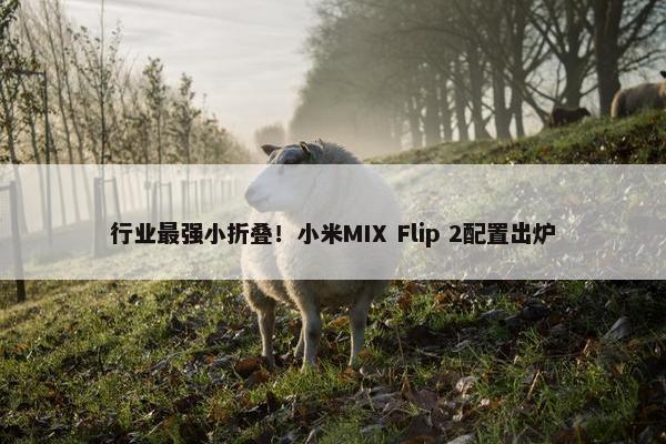 行业最强小折叠！小米MIX Flip 2配置出炉