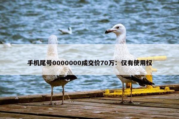 手机尾号0000000成交价70万：仅有使用权