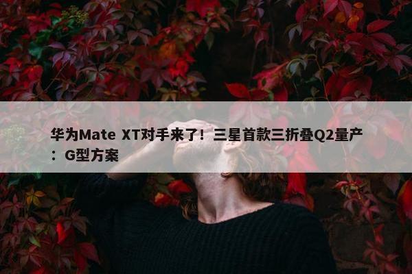 华为Mate XT对手来了！三星首款三折叠Q2量产：G型方案