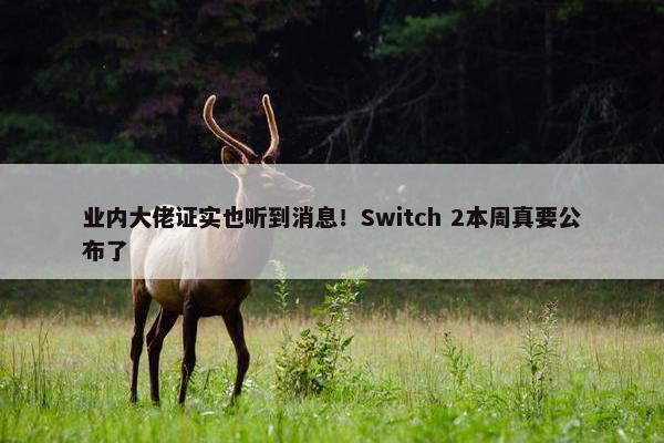 业内大佬证实也听到消息！Switch 2本周真要公布了