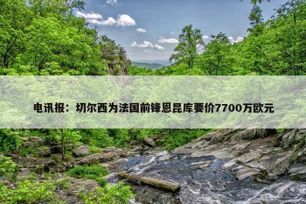 电讯报：切尔西为法国前锋恩昆库要价7700万欧元