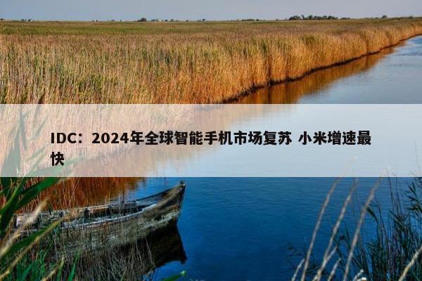 IDC：2024年全球智能手机市场复苏 小米增速最快