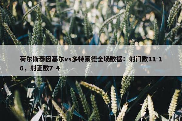 荷尔斯泰因基尔vs多特蒙德全场数据：射门数11-16，射正数7-4