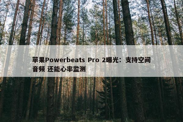 苹果Powerbeats Pro 2曝光：支持空间音频 还能心率监测