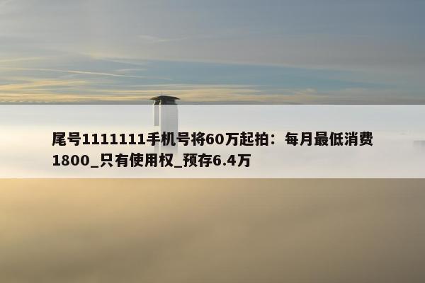 尾号1111111手机号将60万起拍：每月最低消费1800_只有使用权_预存6.4万