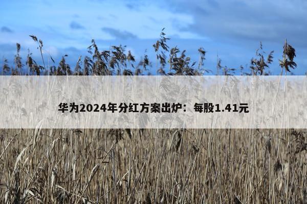 华为2024年分红方案出炉：每股1.41元