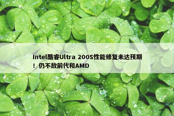 Intel酷睿Ultra 200S性能修复未达预期！仍不敌前代和AMD